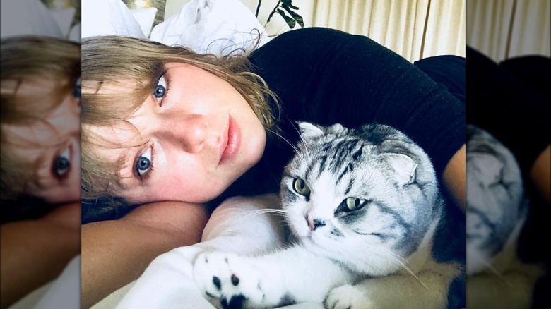 Taylor Swift makeup-free bed cat