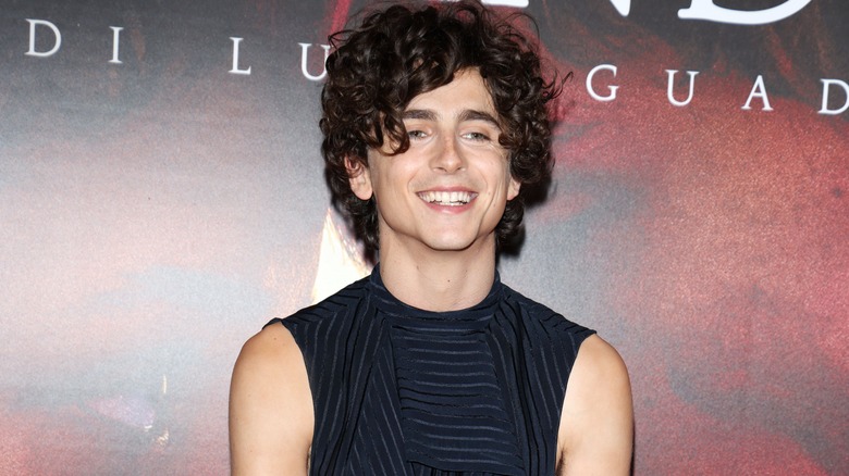 Timothée Chalamet smiling