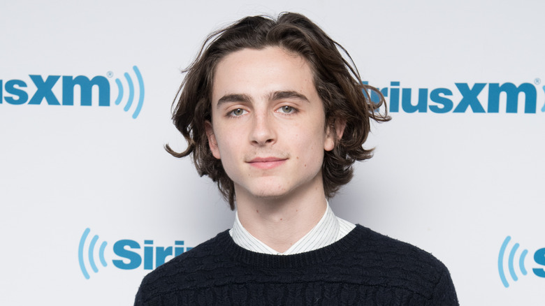 Timothée Chalamet posing 