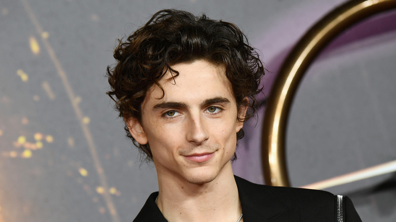 Timothée Chalamet smiling