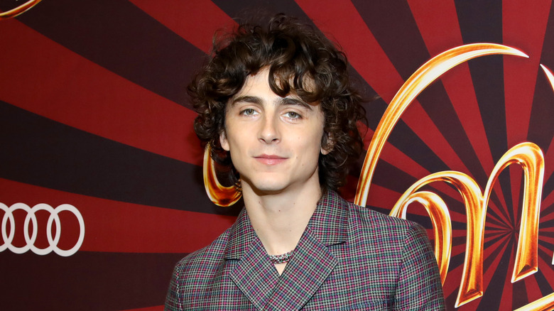 Timothée Chalamet smiling