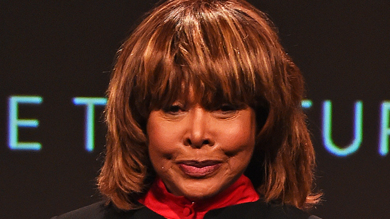 Tina Turner older