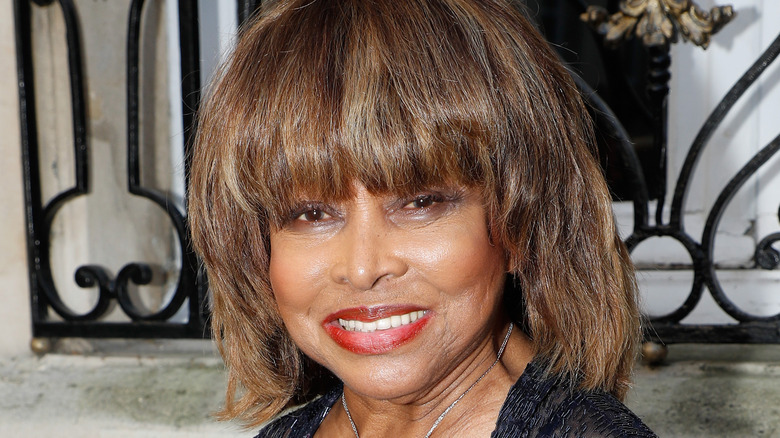 Tina Turner older