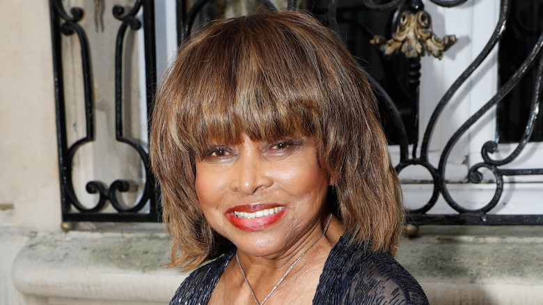 Tina Turner older