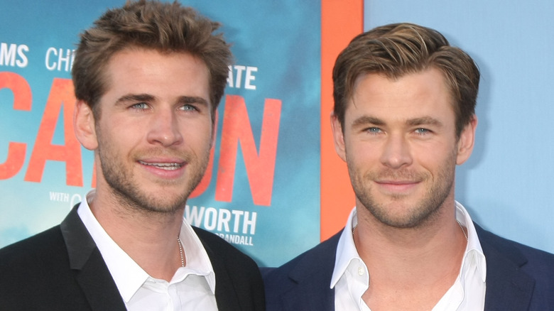 Liam Hemsworth and Chris Hemsworth posing