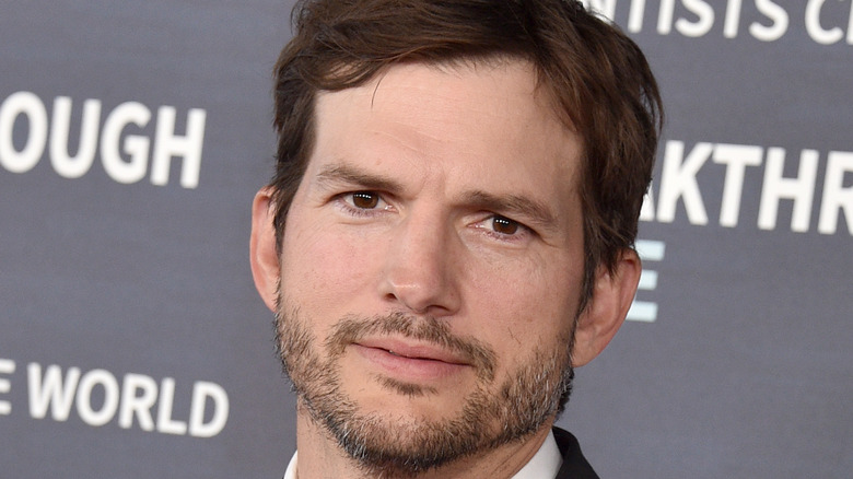 ashton kutcher 2023 portrait