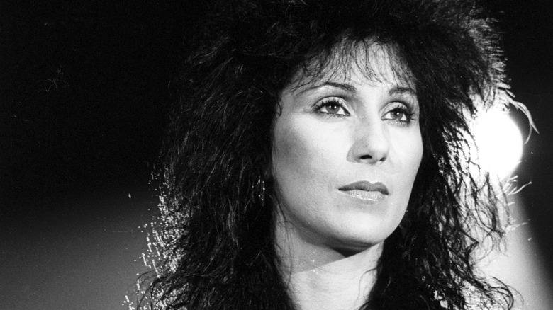 Cher posing in 1984