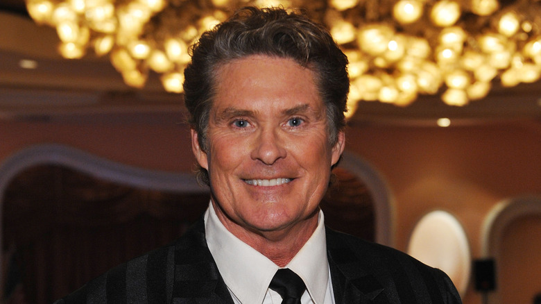 David Hasselhoff smiling and posing