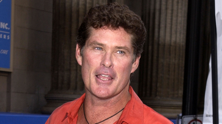 David Hasselhoff posing