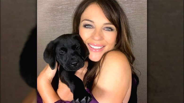 Elizabeth Hurley holding spaniel puppy