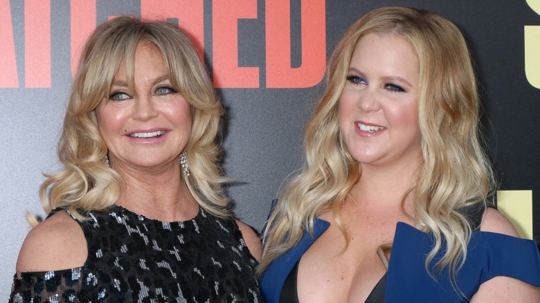 Goldie Hawn and Amy Schumer are all smiles on the red carpet