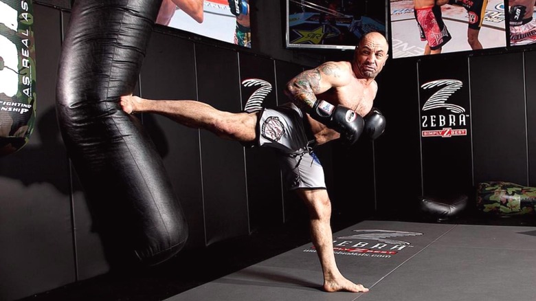 Joe Rogan sidekicking a heavy bag