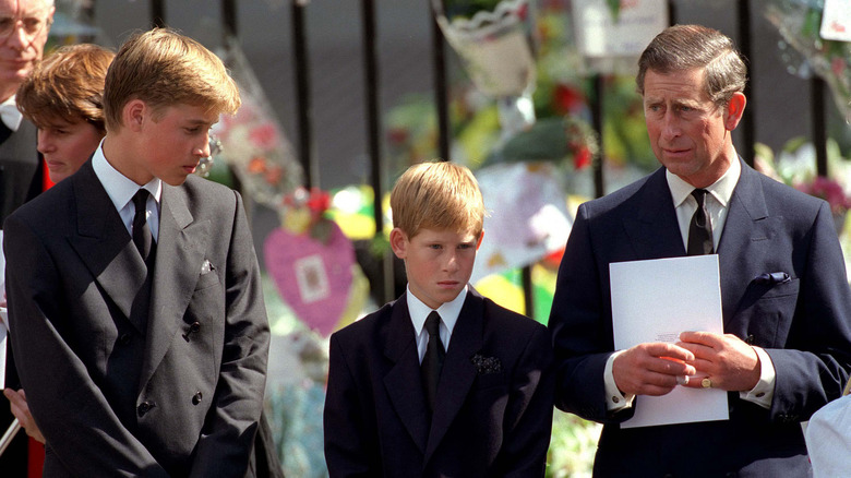 Sad Prince Charles at Princess Diana's funeral, Prince William and Harry upset