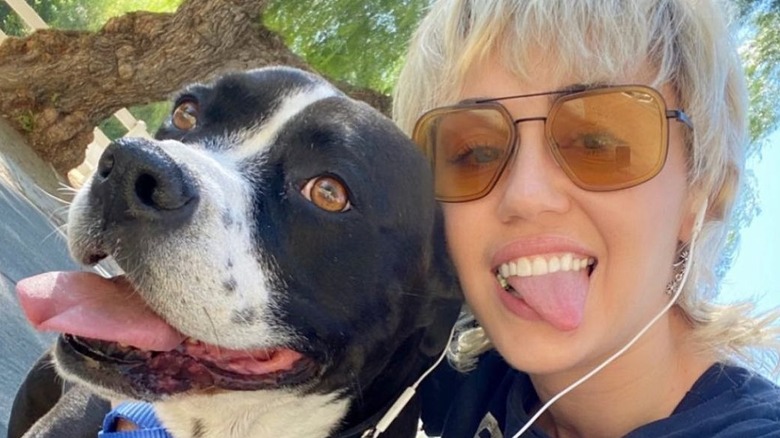 Miley Cyrus poses with her dog