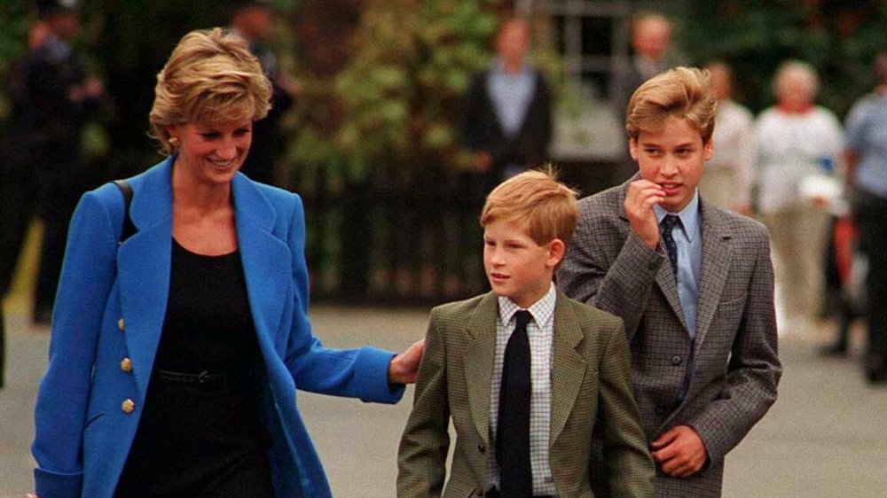 Princess Diana, Prince Harry, Prince William