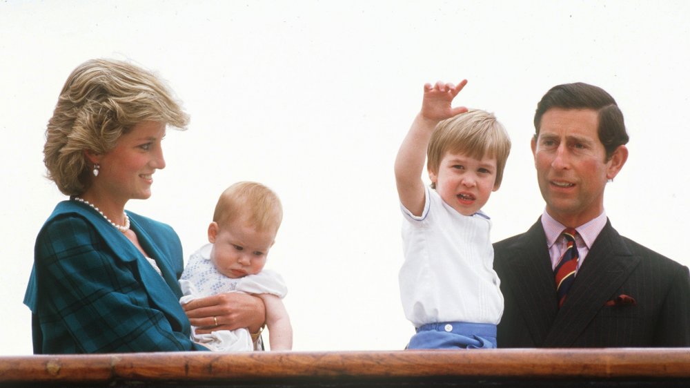 Princess Diana, Prince Harry, Prince William, Prince Charles