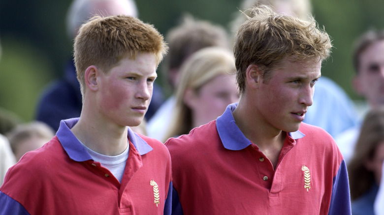 Prince Harry and Prince William wearing red polo shirts