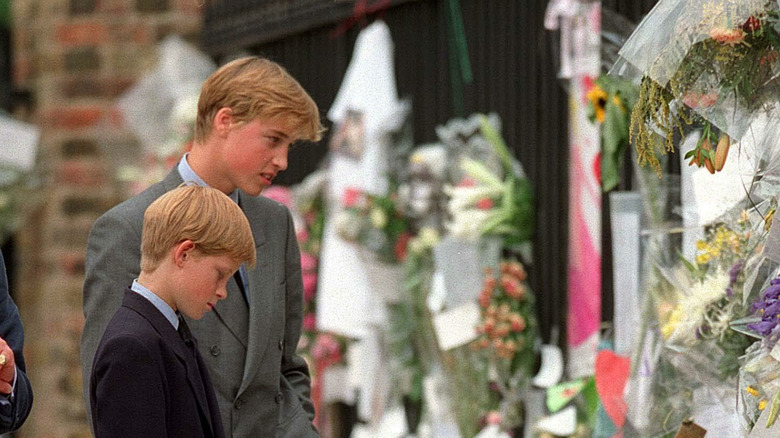 Prince William and Prince Harry looking at the memorial for Princess Diana