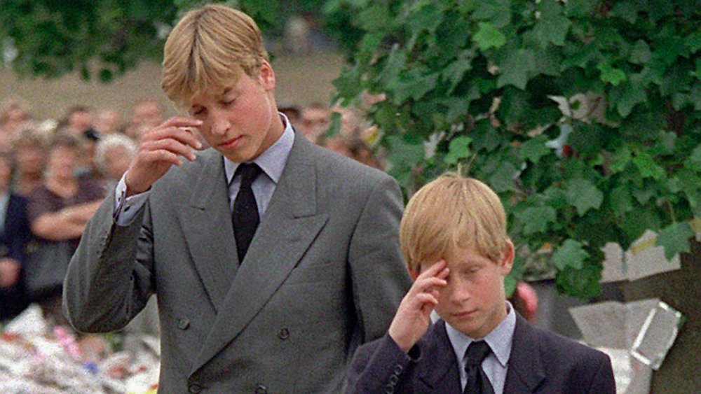 Prince William, Prince Harry following Princess Diana's death