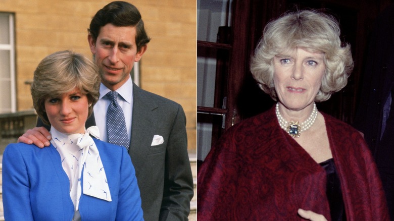 Tragic Details About Princess Diana 