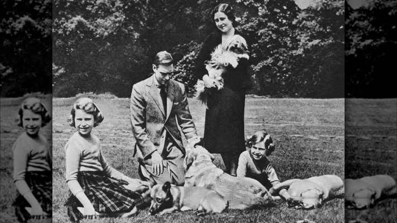 The royal family with dogs in 1937