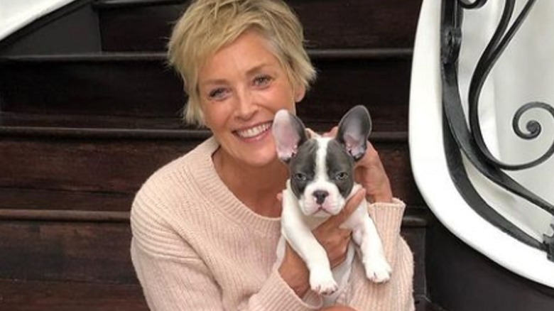 Sharon Stone cuddling her dog 