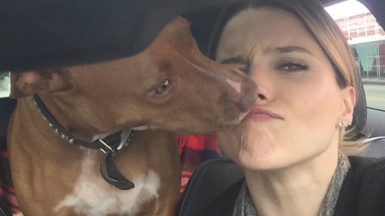 Sophia Bush kissing her dog 