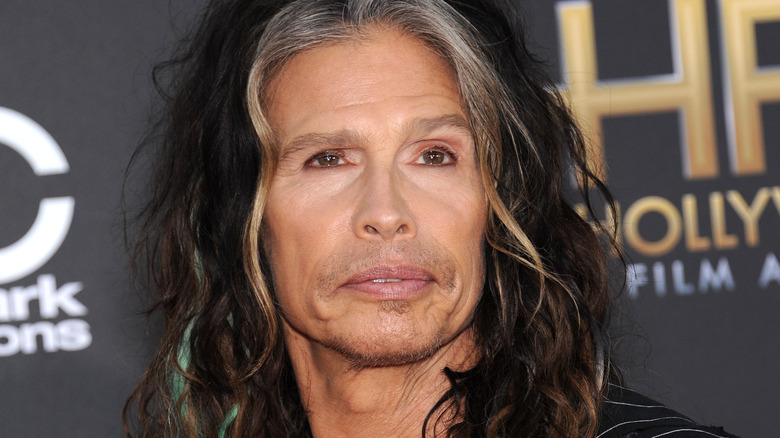 Steven Tyler posing 