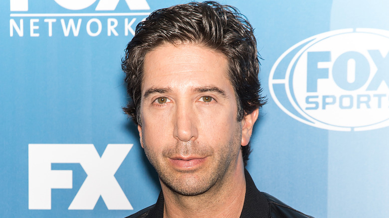 David Schwimmer posing