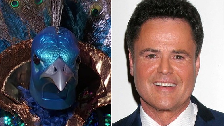 Masked Singer's Peacock and Donny Osmond split image