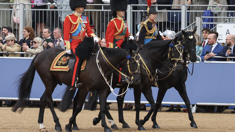 Princess Anne riding black horse