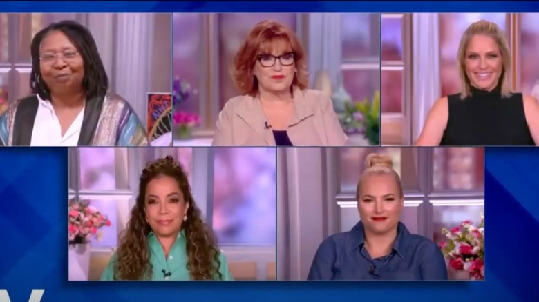 Meghan McCain and her "The View" co-stars