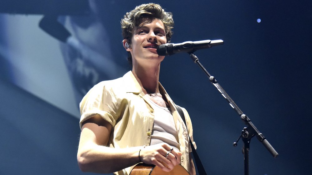 Read This Before You See Shawn Mendes: In Wonder