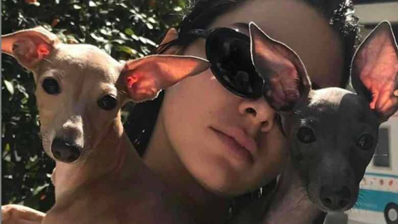 Kylie Jenner with dogs