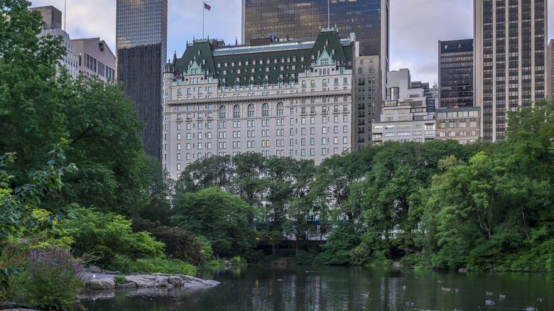 The Plaza Hotel and Central Park