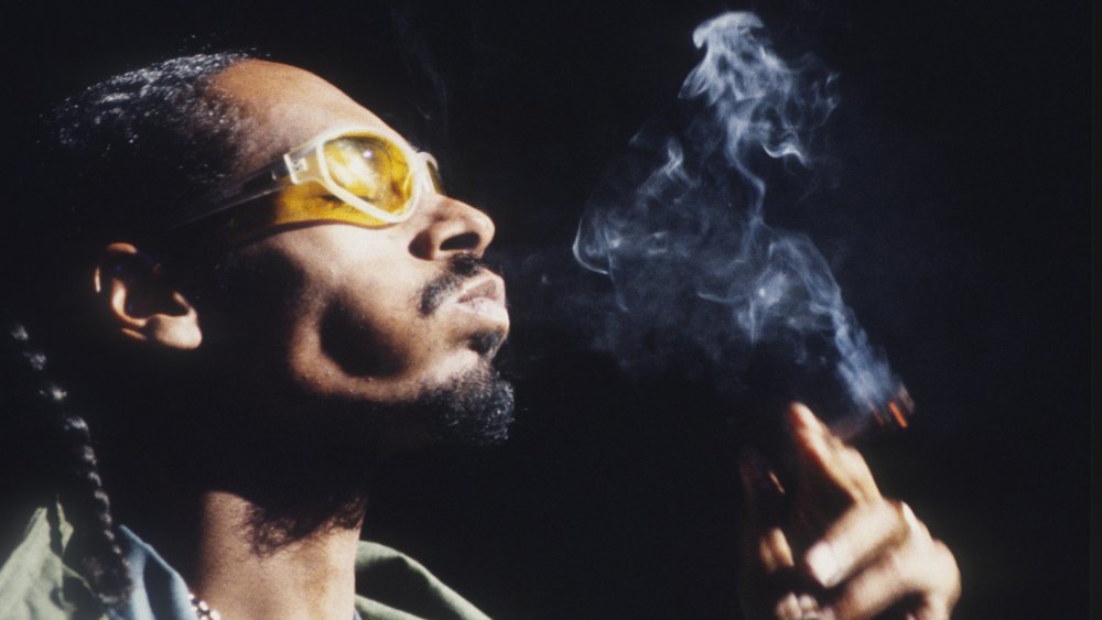 Snoop Dogg profile, smoking