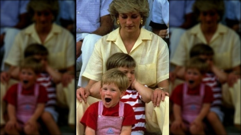 Princess Diana and young Prince William and Harry