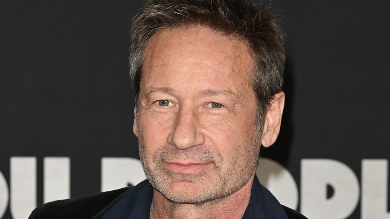 David Duchovny on red carpet