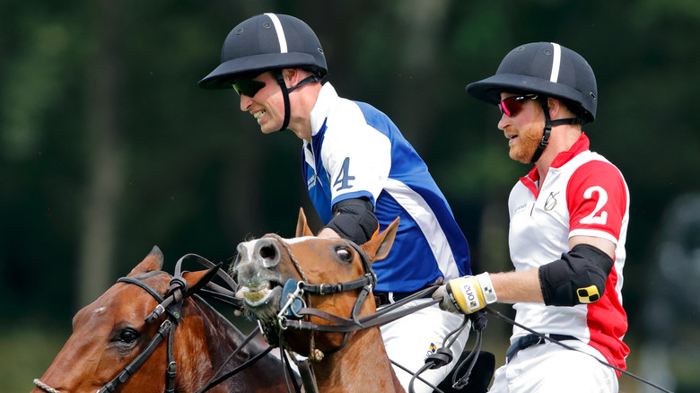 Princes William and Harry playing polo