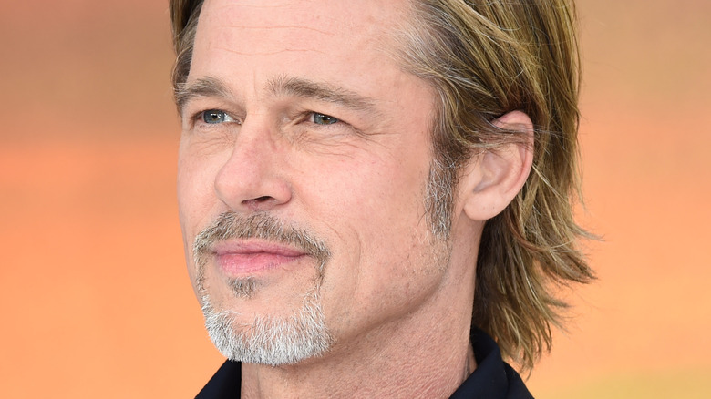 https://www.nickiswift.com/img/gallery/what-brad-pitt-did-before-all-the-fame/intro-1620598678.jpg