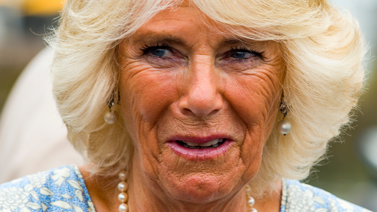 what-camilla-parker-bowles-son-just-admitted-about-her-future