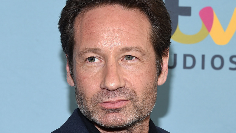 David Duchovny walks a red carpet