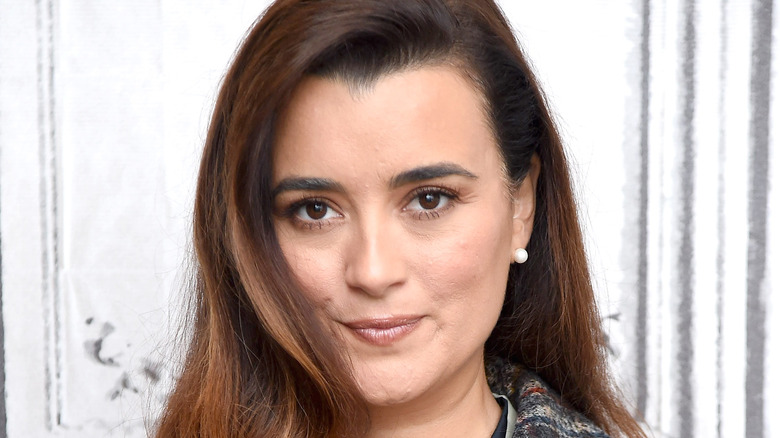 Cote de Pablo posing