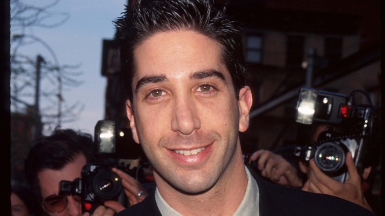 David Schwimmer young smiling