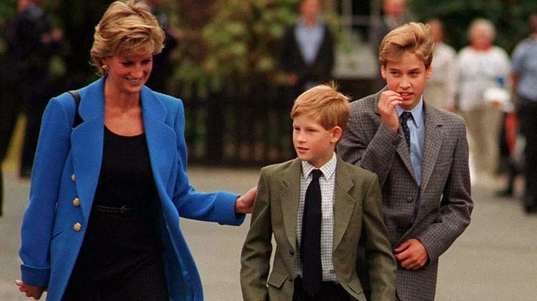 Princess Diana with Prince Harry and Prince William