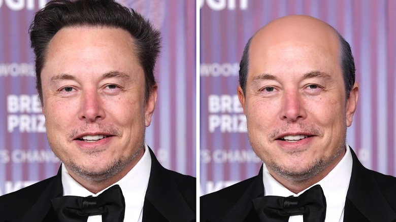 Elon Musk with and without hair