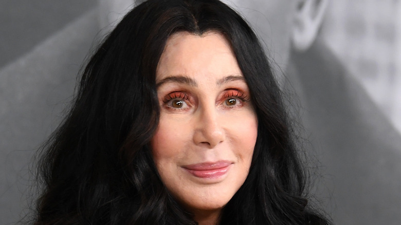 Cher at Premiere of Sidney Poitier Documentary