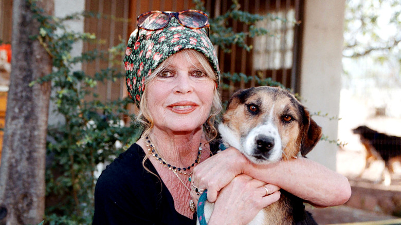 Brigitte Bardot, in her 70s, hugging a dog and wearing a scarf