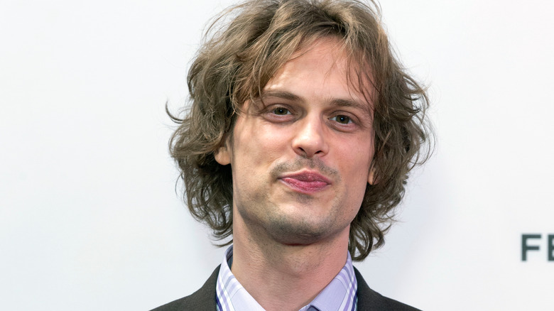 What Happened To Matthew Gray Gubler Since Criminal Minds Ended?