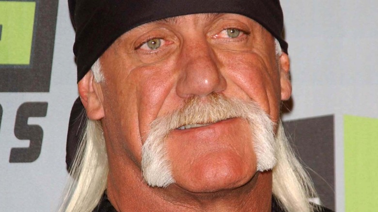 Hulk Hogan grimacing at camera